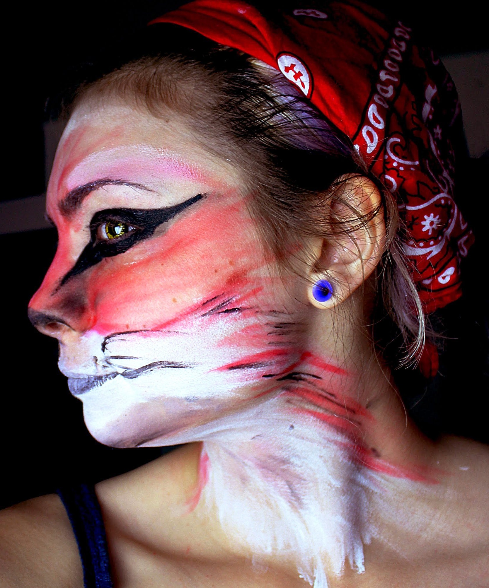 Fox Halloween Makeup Ideas.