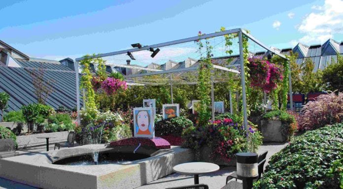 20 Stunning Roof Garden Ideas For You To Try