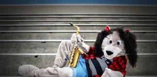 20 Amazing Mascot outfits ideas To Try