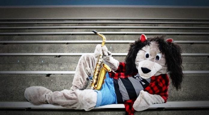 20 Amazing Mascot outfits ideas To Try