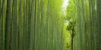 16 incredible places that really exist