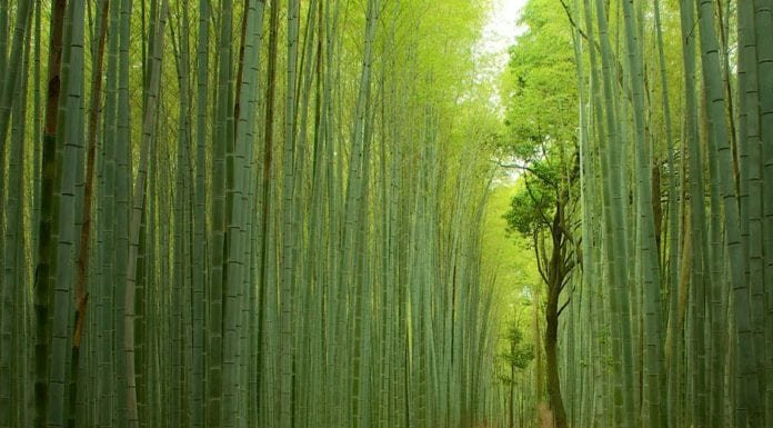 16 incredible places that really exist