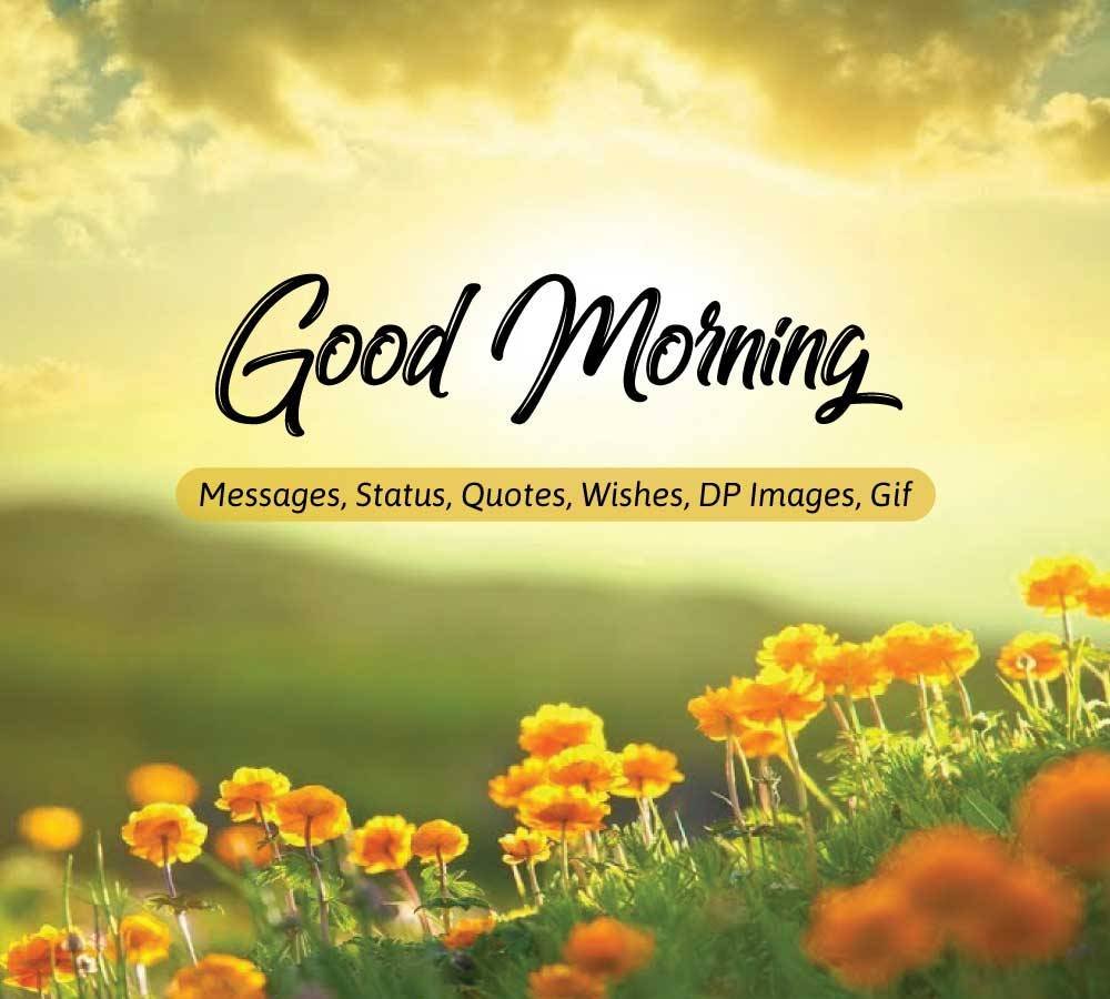 30+ Good Morning Photos, Download Good Morning Photos - Instaloverz