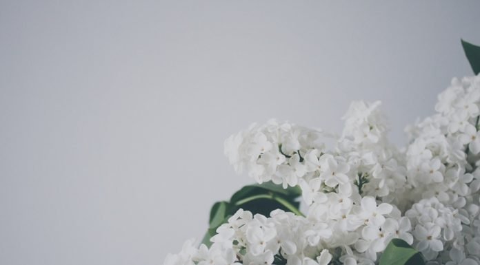 Simple Floral Arrangements Ideas to Freshen Up Your Home Interior