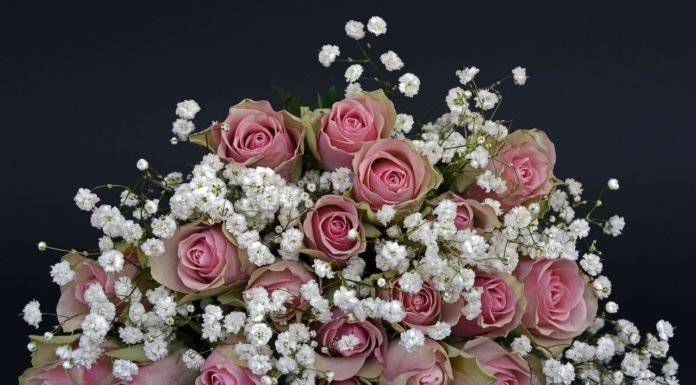 Five Fail-Proof Subscription Gifts That Everyone Will Love