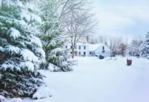 Heating Freedom: The Benefits of Individual Gas Boiler Systems